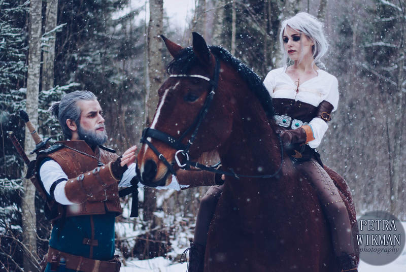 The Witcher - Going Home by Mirish