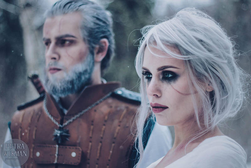 The Witcher - The Wolf and the Swallow by Mirish