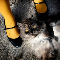 powerless by misspaperclip