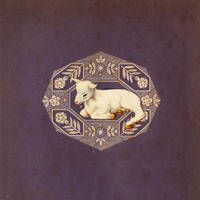 ...and found. by misspaperclip