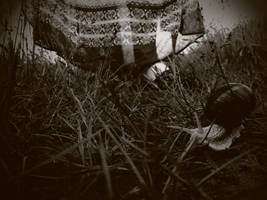 ...snail... by Juliana-Mierzejewska