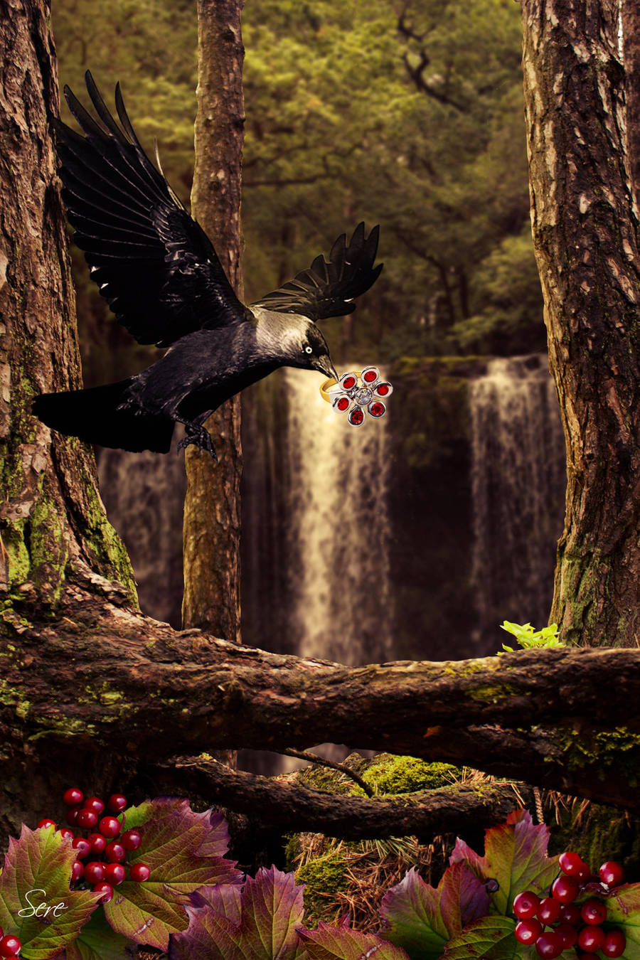 Magpie by Olgola