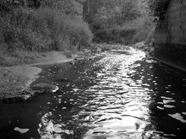 go with the flow by murfleur