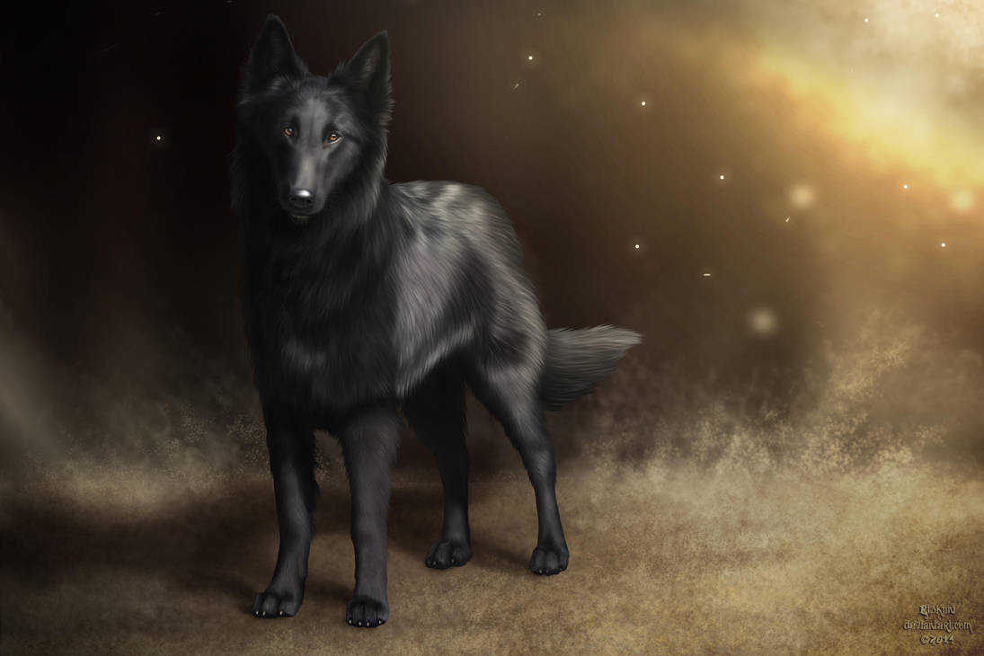 Commission - Sherlock (+VIDEO) by EtskuniArt