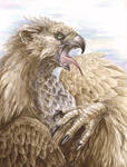 Wassup gryphon by Nalavara
