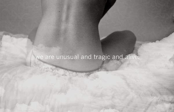 we are... by Zaratops