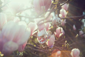 liquid light by Zaratops