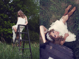 the field by Zaratops