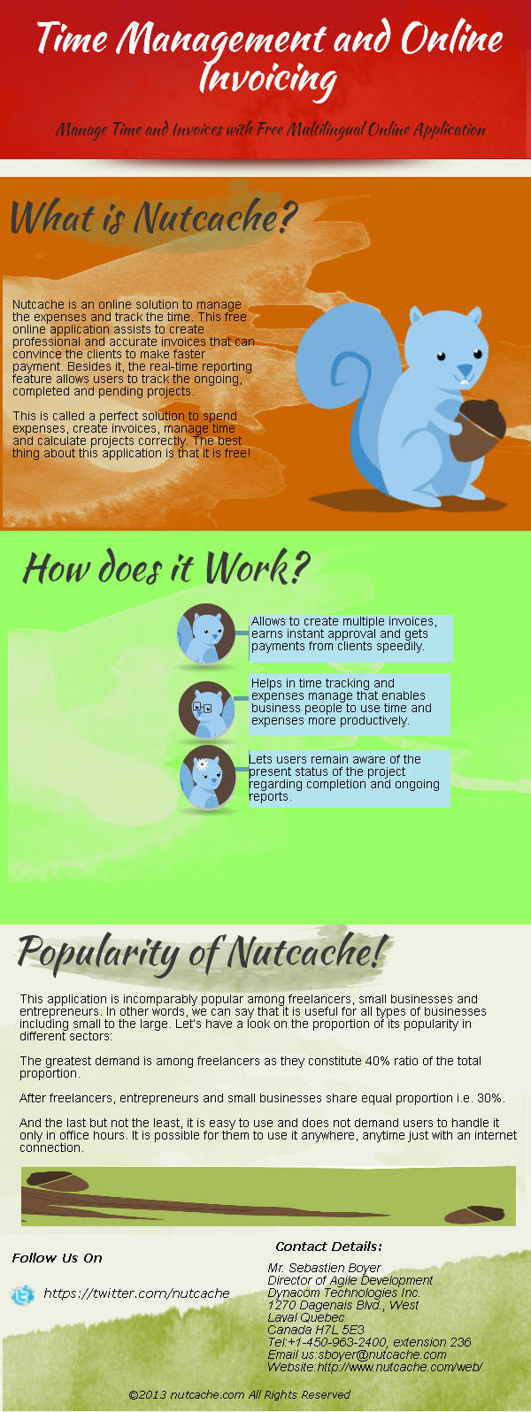 Infographic for Best Online Expense tool-Nutcache by Nutcache