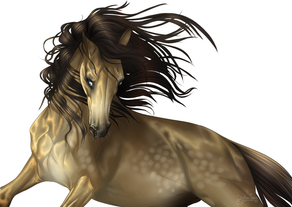 Semi realism, half body by AmigoGirl Semi realism, half body by AmigoGirl