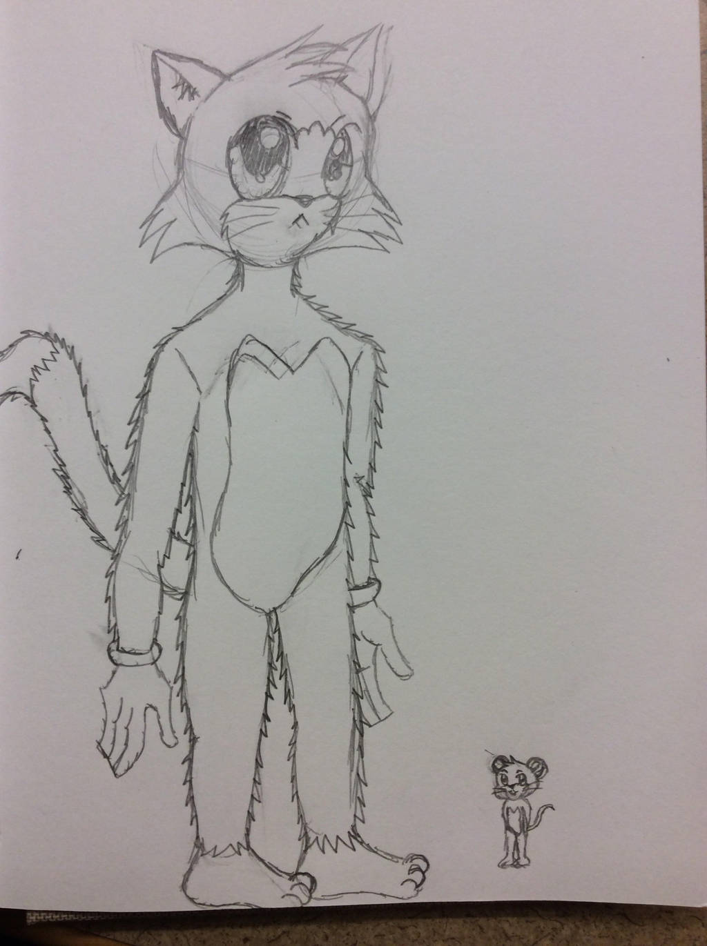 Anime Tom and Jerry by doctorwhooves253