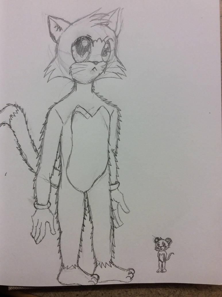 Anime Tom and Jerry by doctorwhooves253