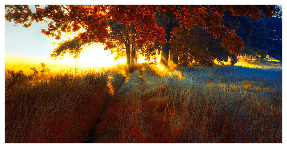 Return to Innocence by werol