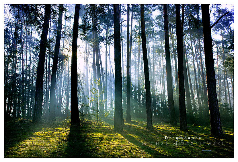 Dreamdance by werol