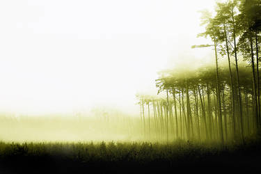 immobilization by werol