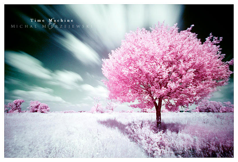 Time Machine by werol