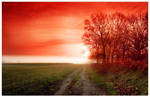 That's the way by werol
