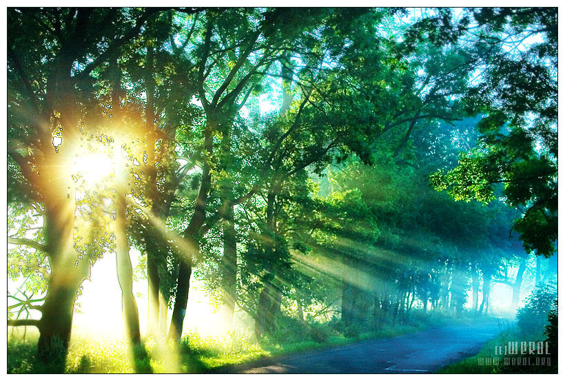 Where do U think U're going? by werol