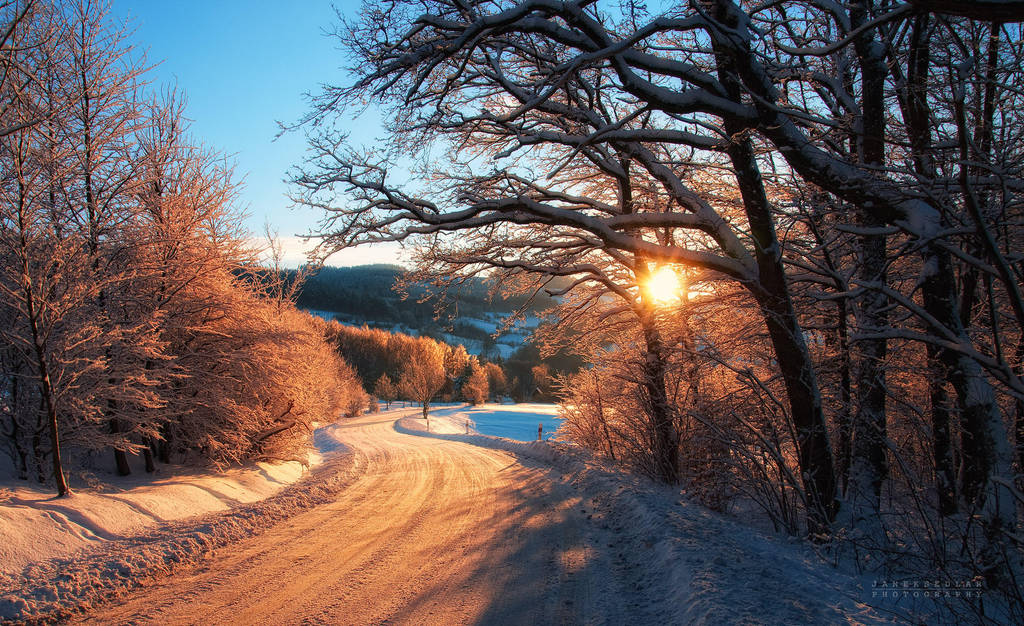 -Morning road to village- by Janek-Sedlar
