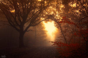 -Inner evening- by Janek-Sedlar -Inner evening- by Janek-Sedlar