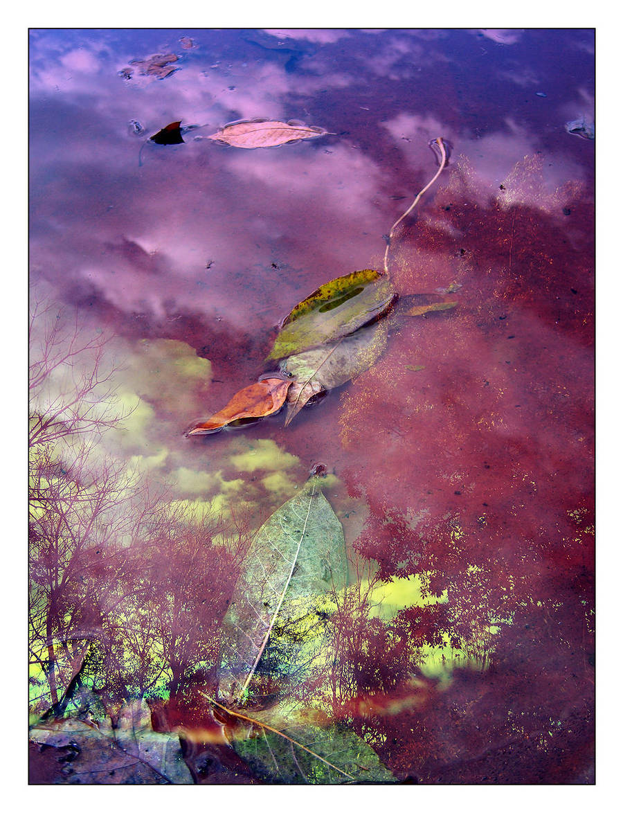 -fall mirror- by fangedfem
