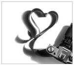 -for the love of film- by fangedfem
