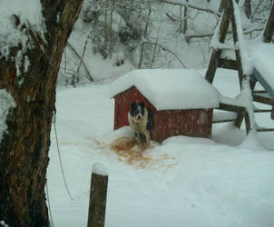 What's All This Then? by SpiderMilkshake