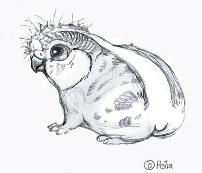 My icon sketch by Reptangle