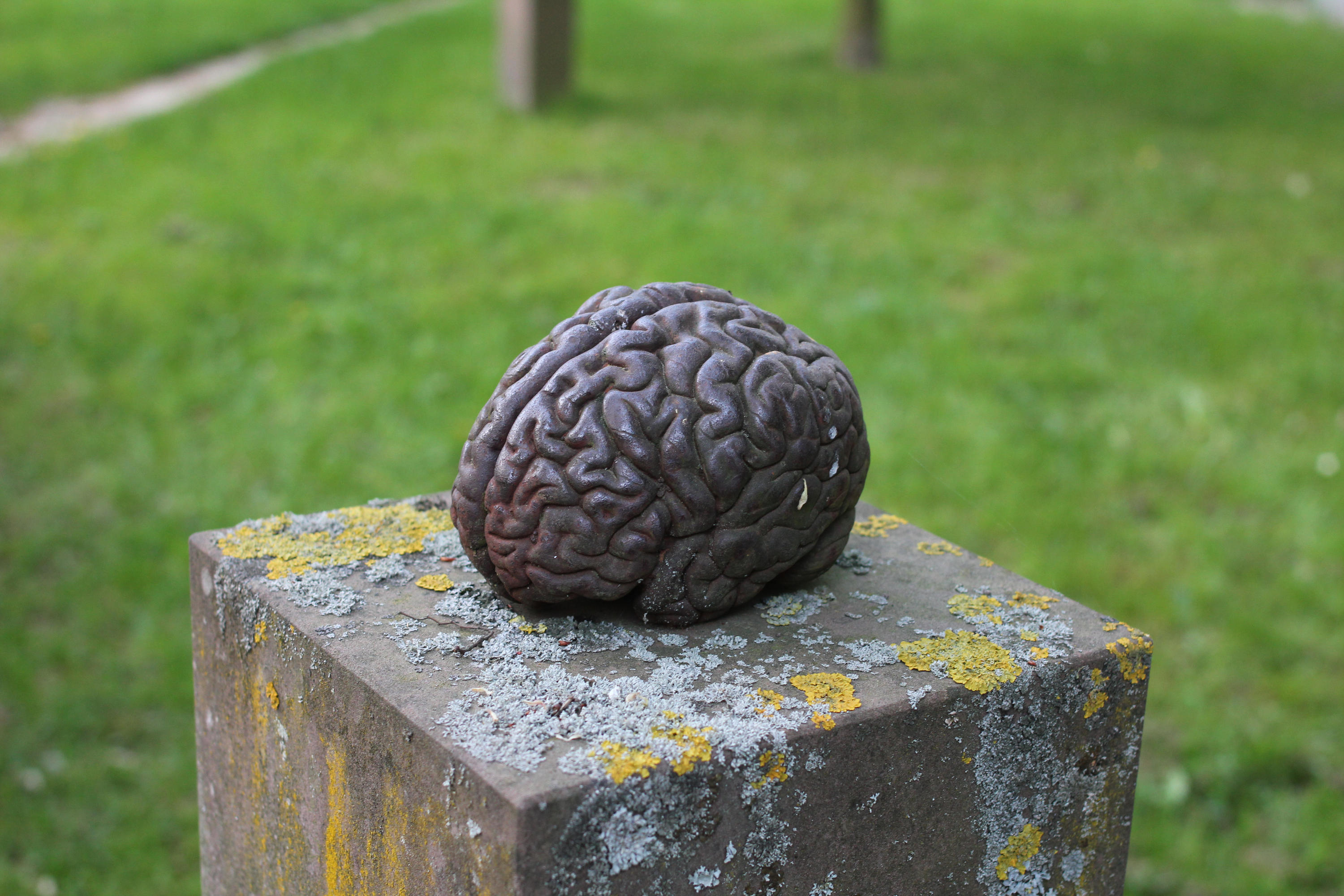 Brain III by LotusOnlineDe