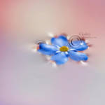 Silence by cloduy
