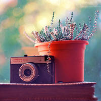 analog midday. by magnesina