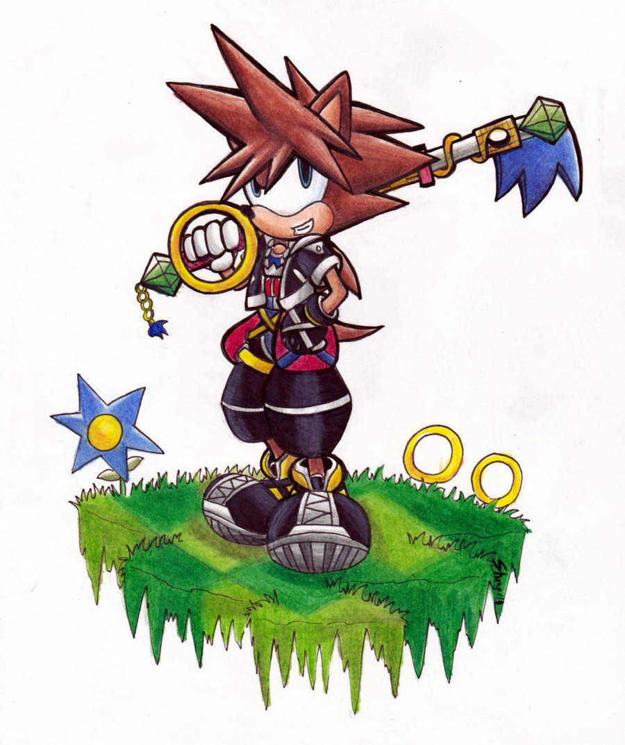 Hedgie Sora by Sea-Salt