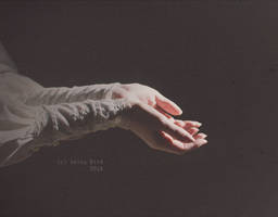 Anthology of Light by Anina-Bird