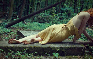 Solstice by frysoler