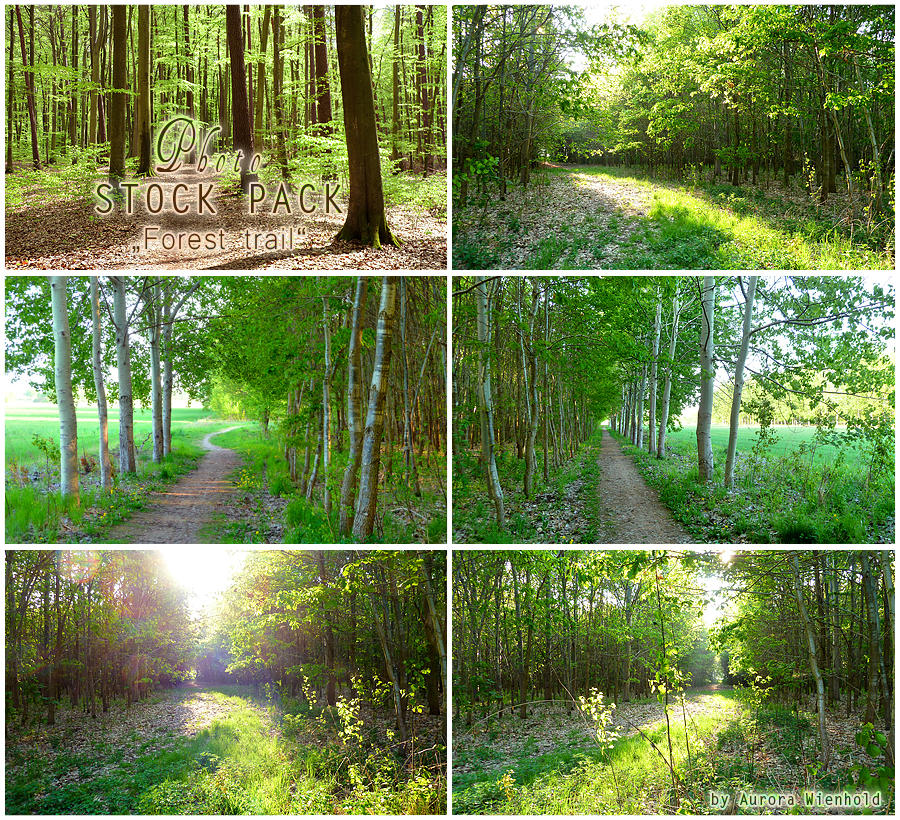 Forest trail - PHOTO STOCK PACK by RoryonaRainbow