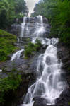 Amicalola Falls by Daemare