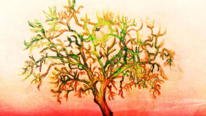 My first tree by NadineSavage