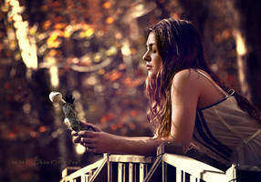 Corpse Bride by nurtanrioven