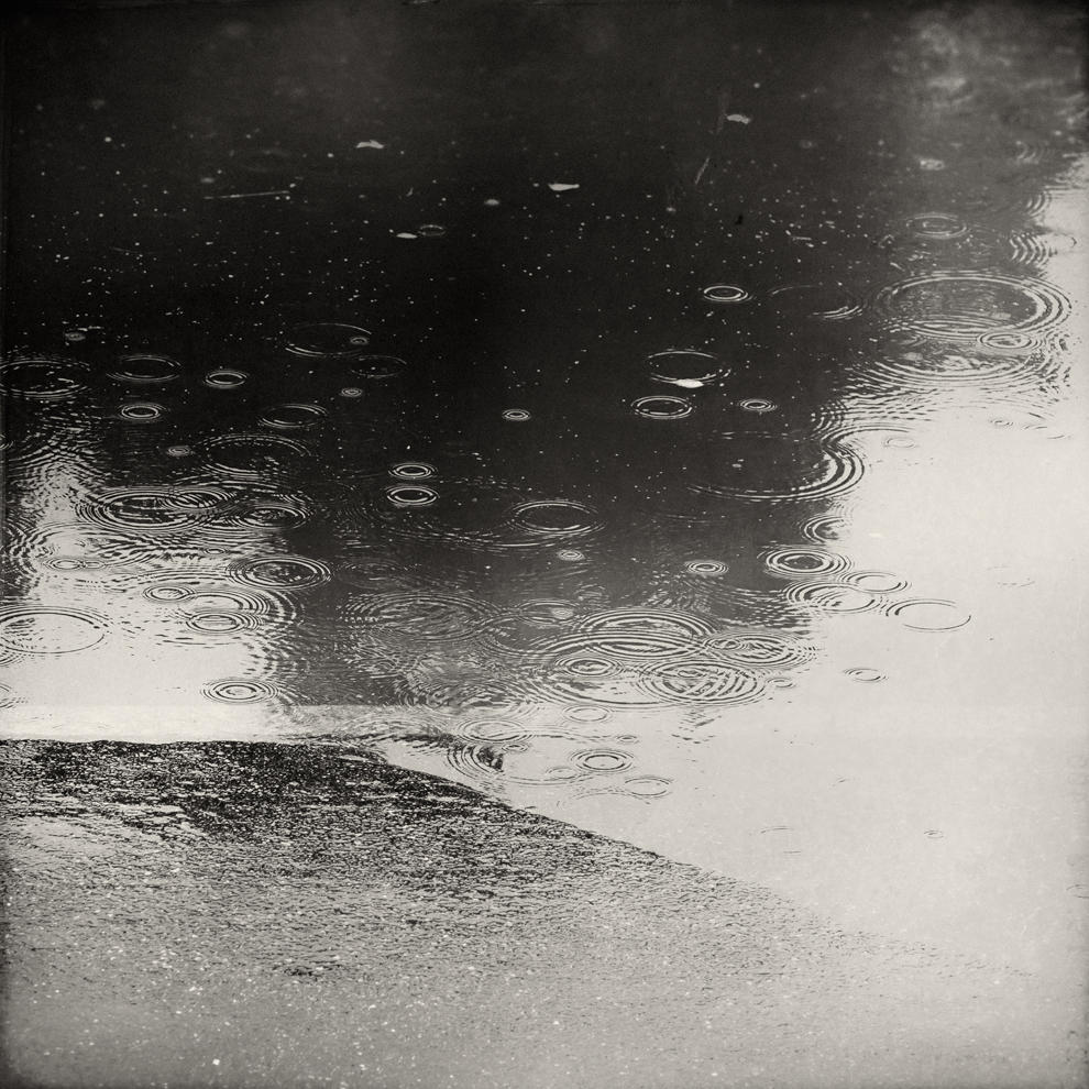 Shoreline by Poromaa