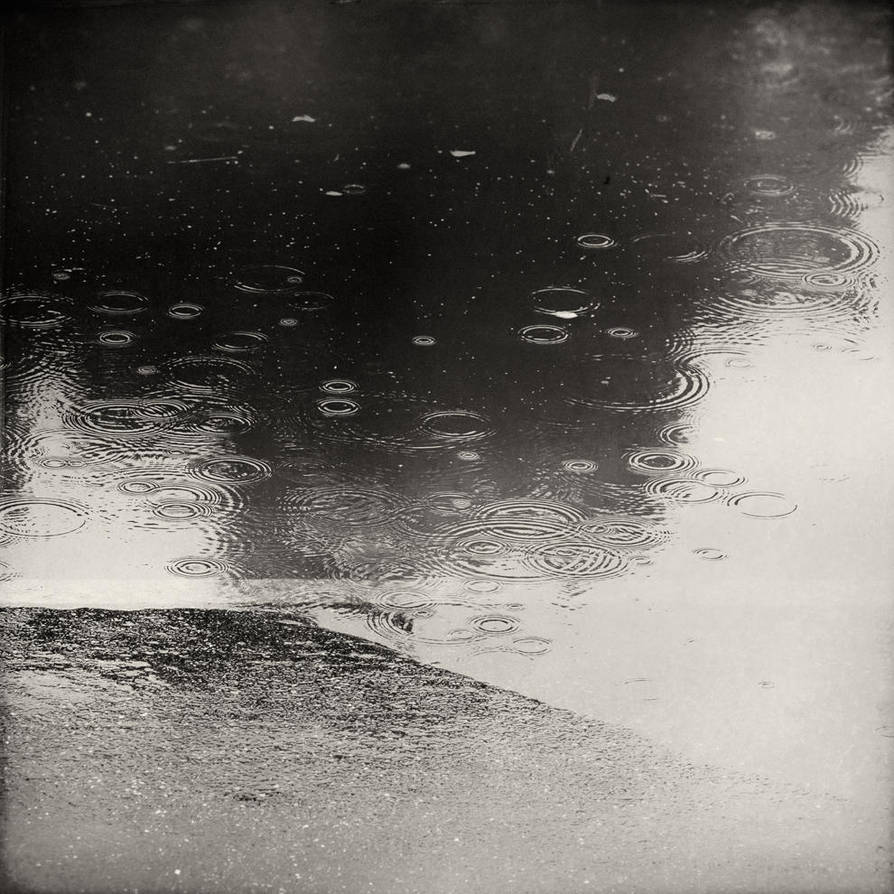 Shoreline by Poromaa