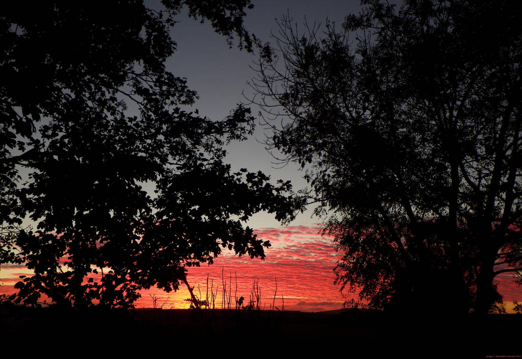 Sunset in Scotland by Zelandeth