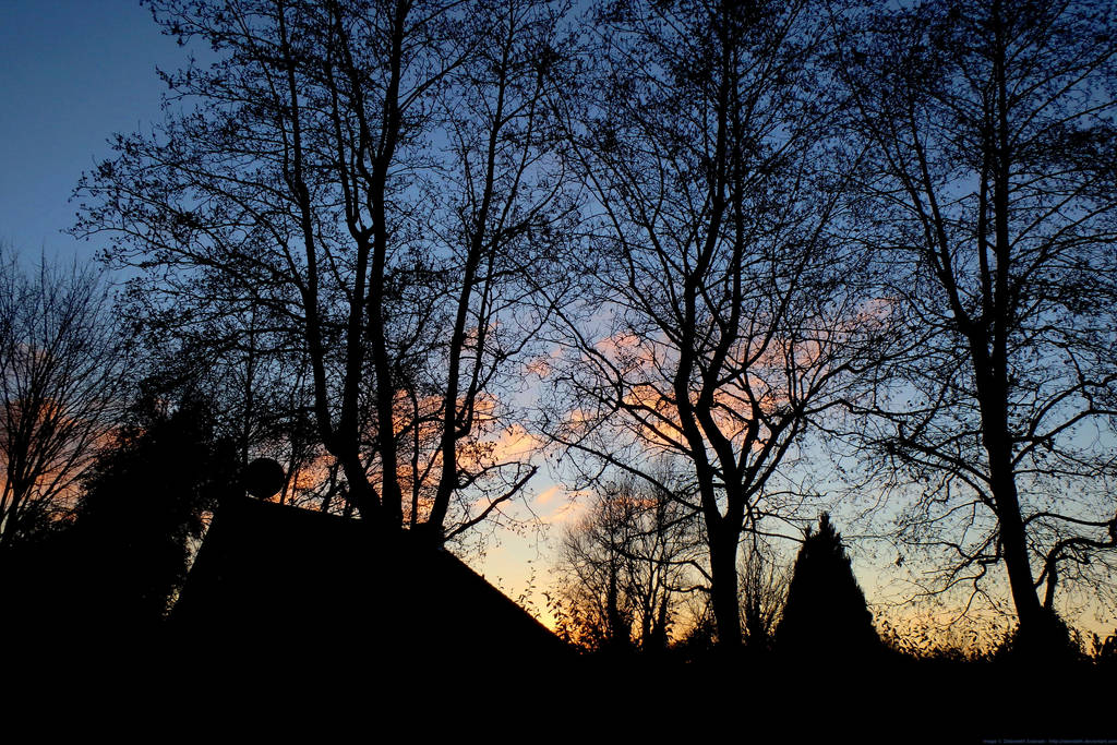 Suburban Skyline by Zelandeth