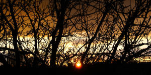 cappuccino evening by TheDreamerIsAwake