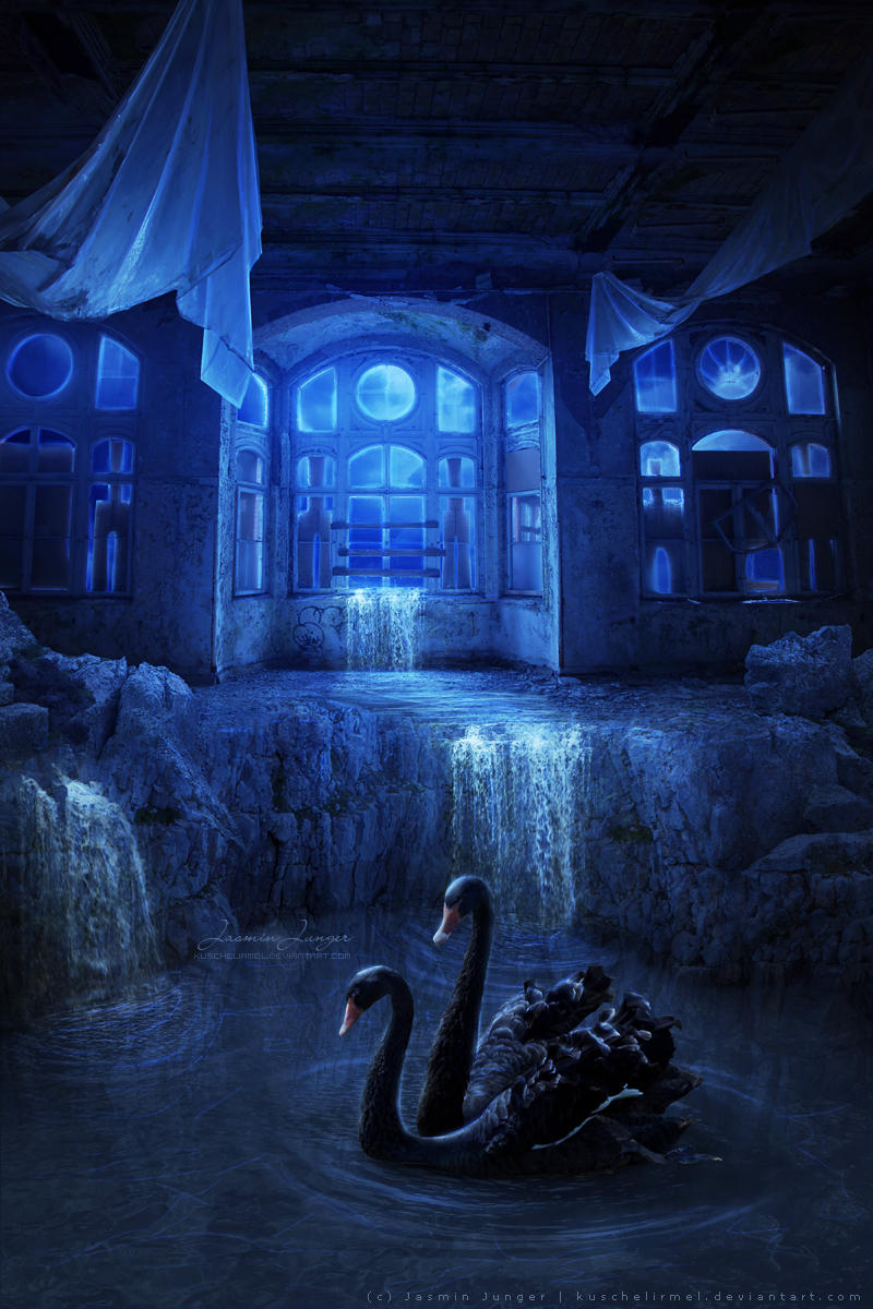 Black Swan Lake by kuschelirmel