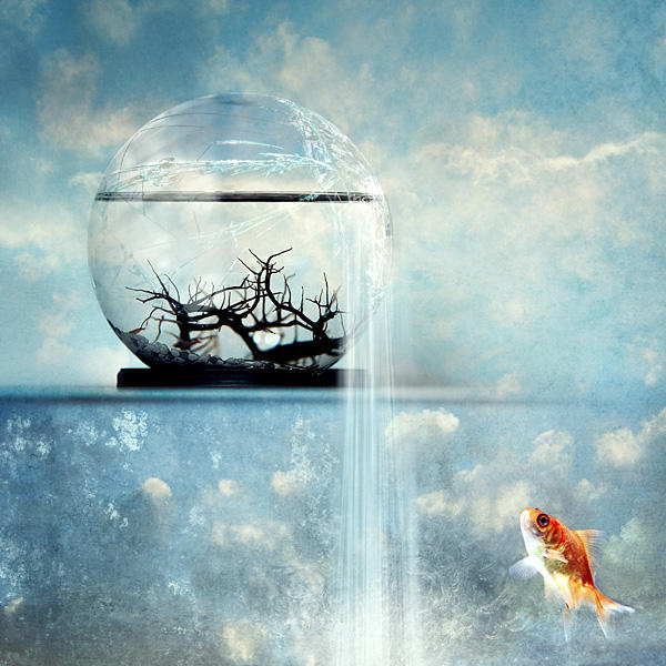 A Change of Perspective by kuschelirmel