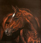 Flame by suzanastojanovic