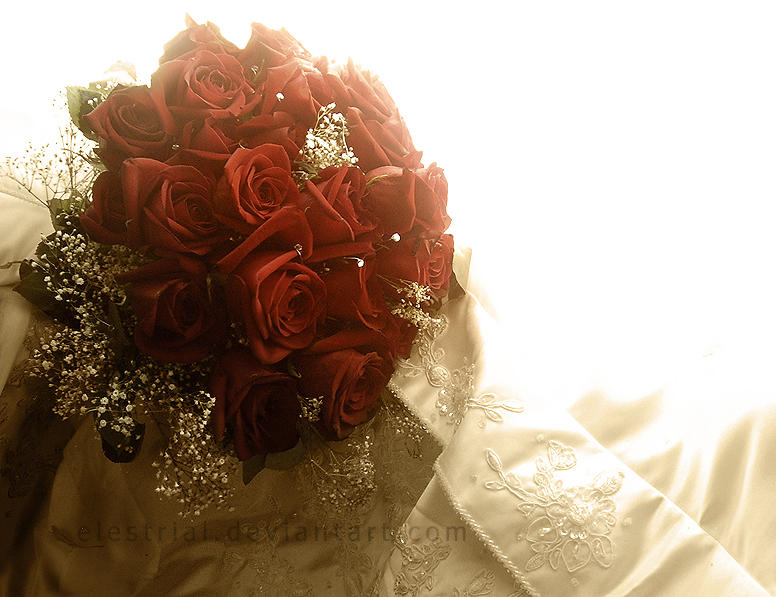 Vintage Roses by elestrial