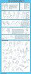 Hand Tutorial -Tips+Reference- by Qinni