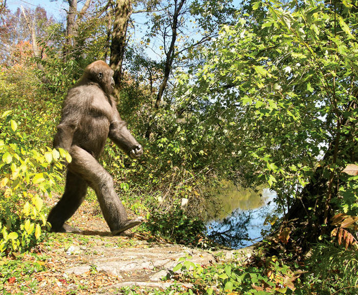 Sasquatch by Viergacht