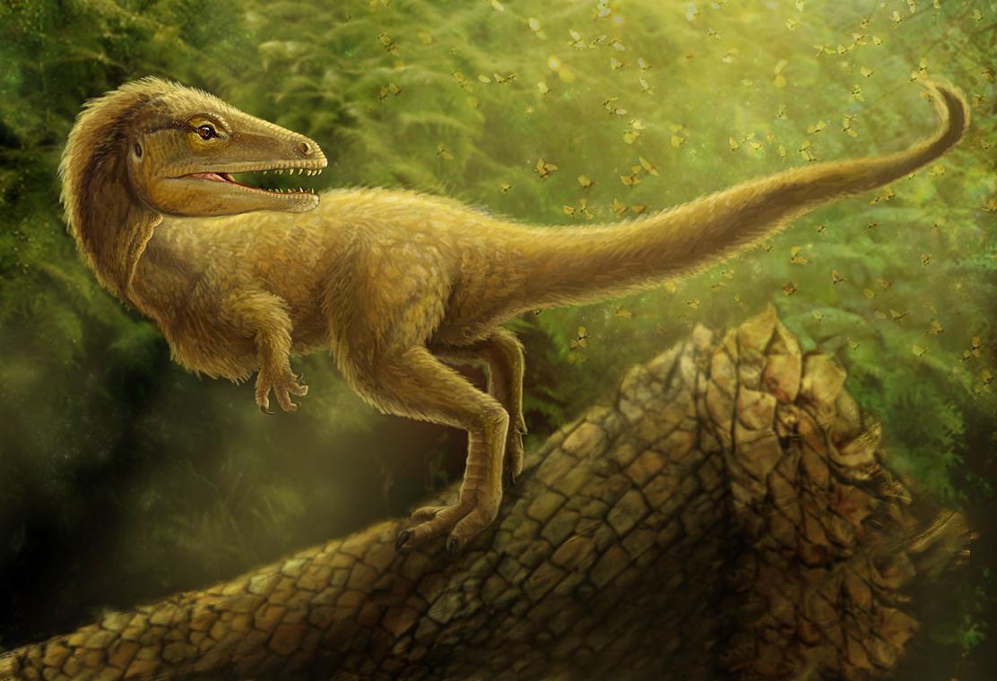Sciurumimus albersdoerferi by Viergacht
